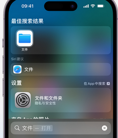 阿城apple维修中心分享iPhone文件应用中存储和找到下载文件 