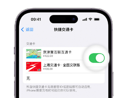 阿城apple维修点分享iPhone上更换Apple Pay快捷交通卡手绘卡面 