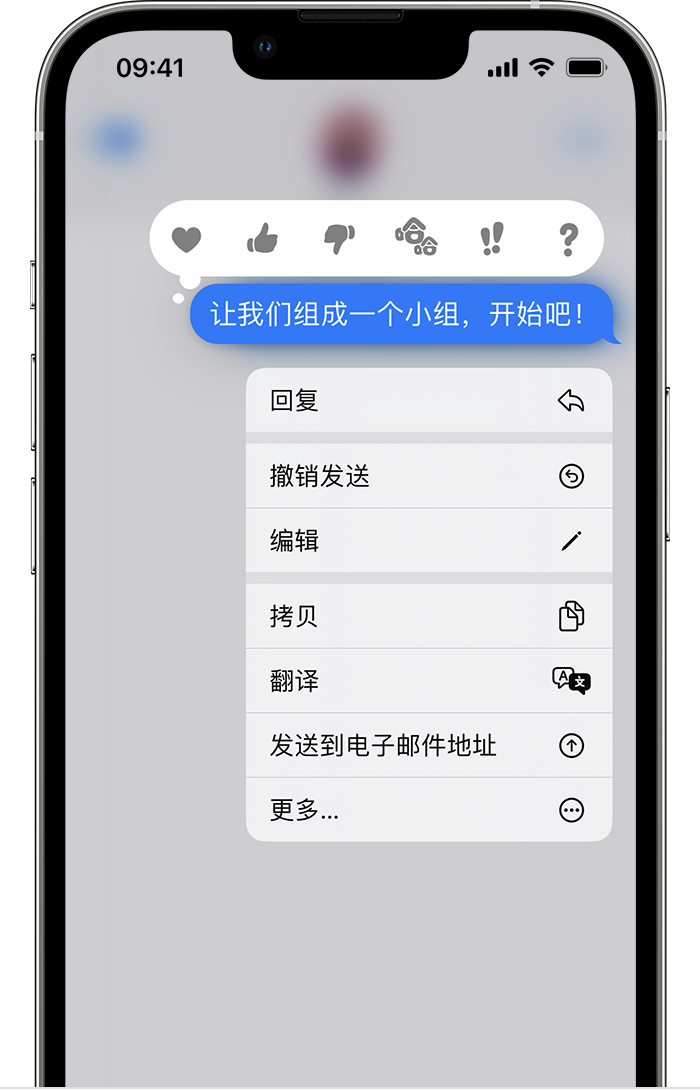 阿城苹果手机维修分享iPhone 信息发送后多长时间内可以撤回或编辑 