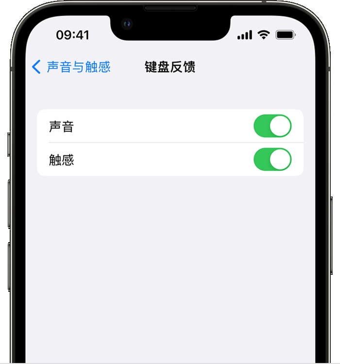 阿城苹果14维修店分享如何在 iPhone 14 机型中使用触感键盘 