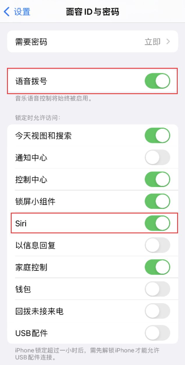 阿城苹果维修网点分享不解锁 iPhone 的情况下通过 Siri 拨打电话的方法 