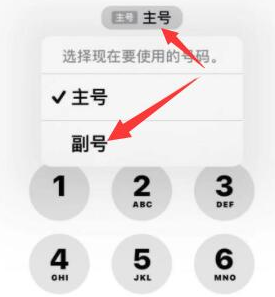 阿城苹果14维修店分享iPhone 14 Pro Max使用副卡打电话的方法 