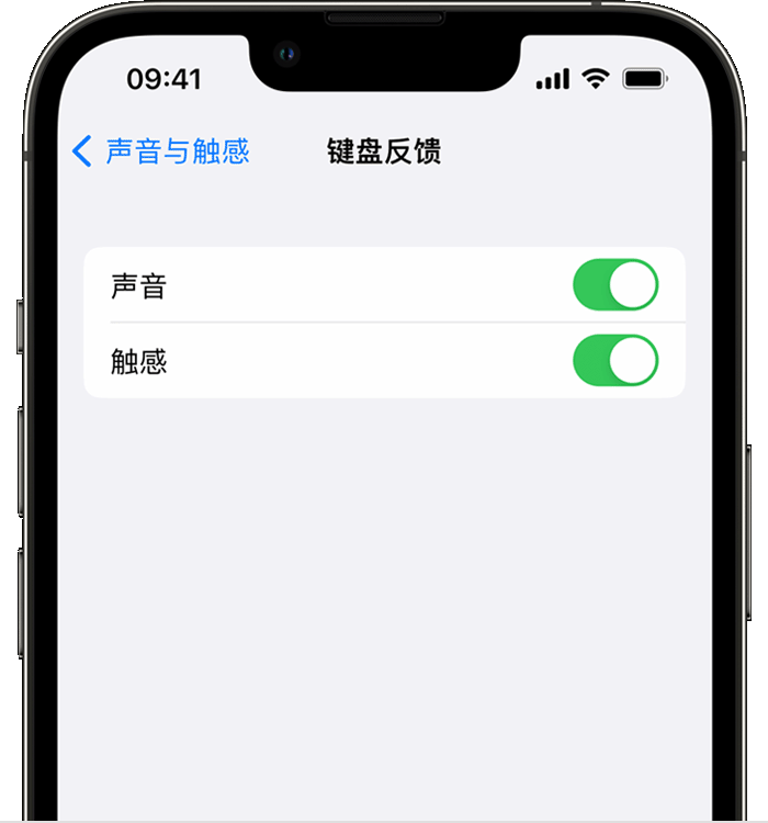 阿城苹果14维修分享iPhone 14 系列机型如何开启键盘声音或触感反馈 