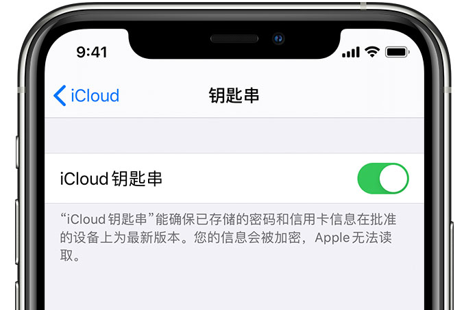 阿城苹果手机维修分享在 iPhone 上开启 iCloud 钥匙串之后会储存哪些信息 