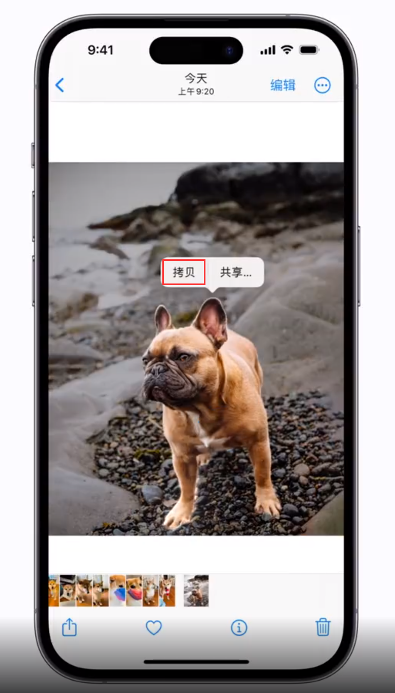 阿城苹果手机维修分享 iOS 16 自带一键抠图功能 
