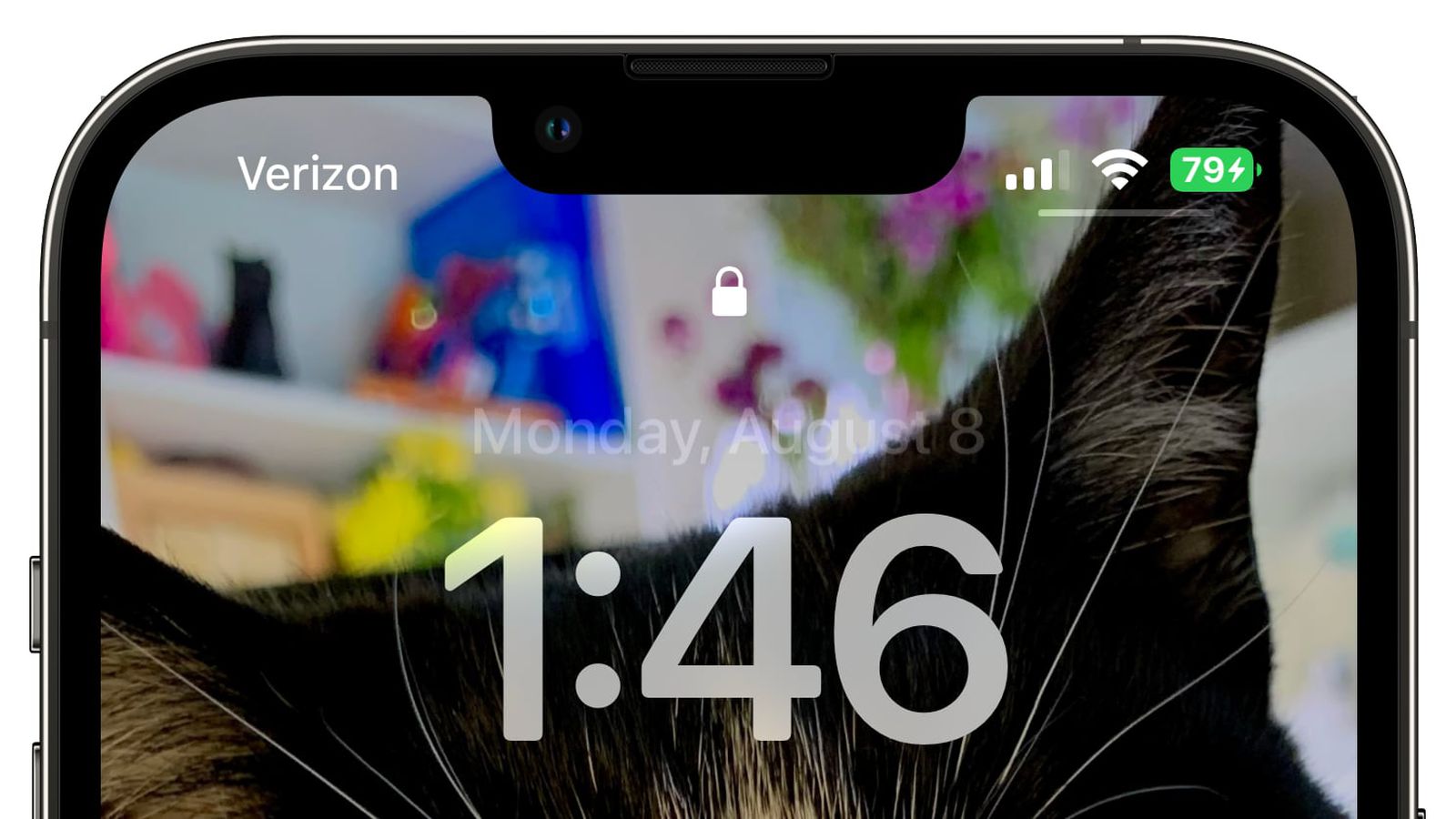 阿城苹果手机维修分享iOS 16 beta 5 支持状态栏显示电池百分比，如何开启？支持哪些机型 