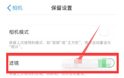 阿城苹果13维修分享iPhone13拍照有绿点是怎么回事 