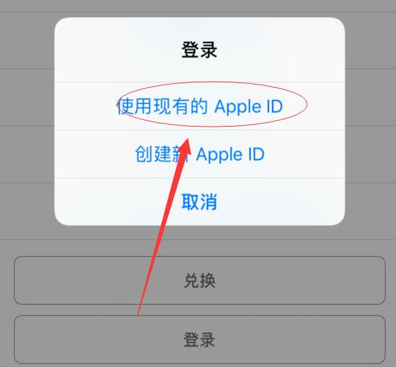 阿城苹果手机维修分享两台iPhone设备可以同时登录一个Apple ID吗 
