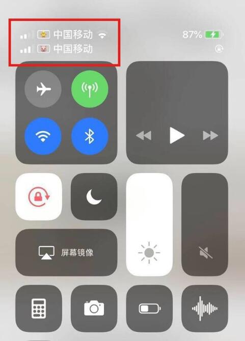 阿城苹果手机维修分享为 iPhone 12 双卡设置标签 