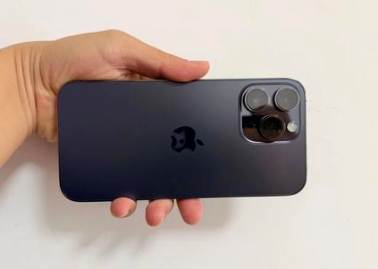 阿城苹果维修点分享iPhone 14 Pro Max黑屏少见故障盘点 